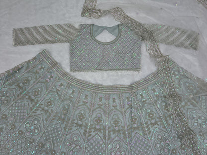 Stylish Silver Net With Embroidery Work Lehenga Choli